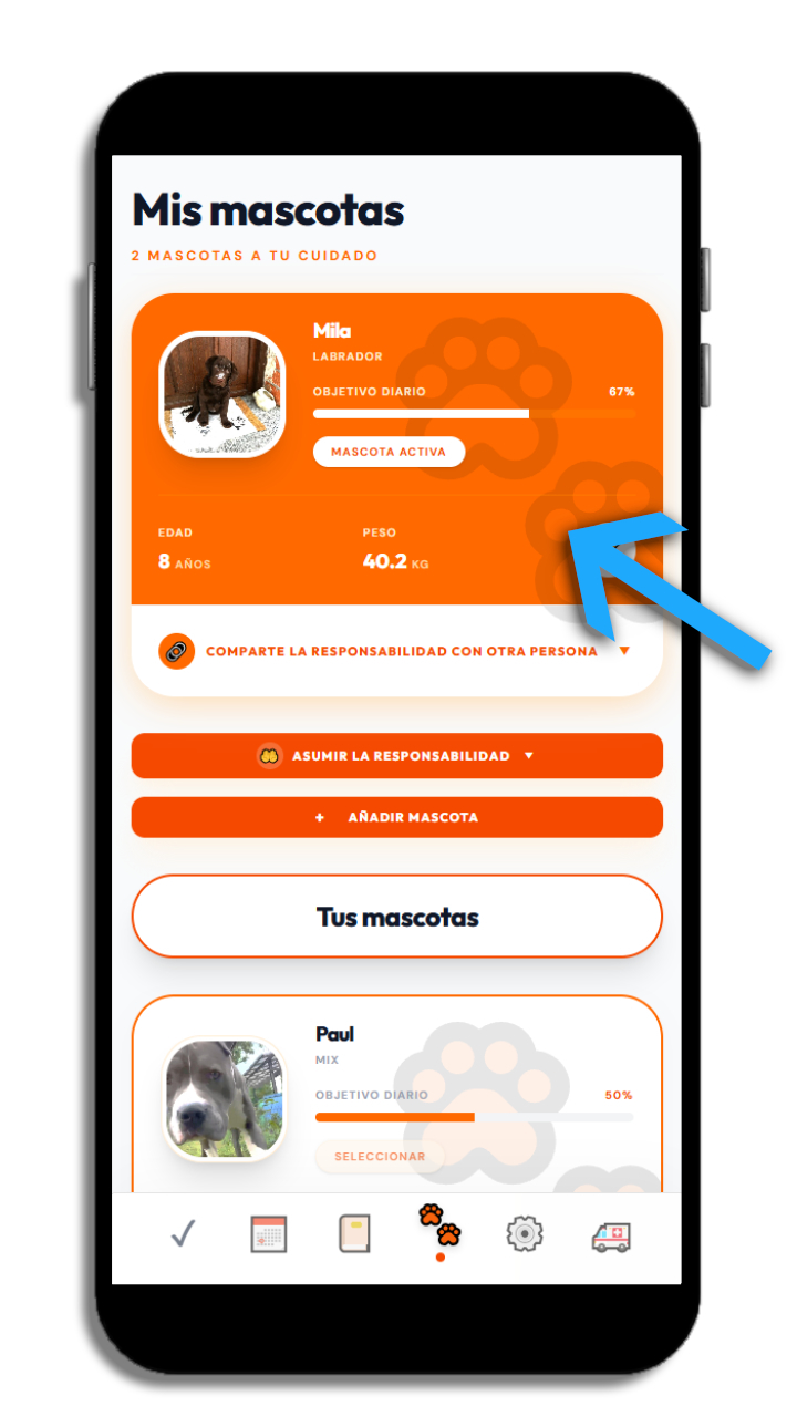 Petuvo – Mis mascotas